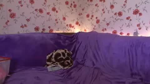 Sky online show from 02.24.25