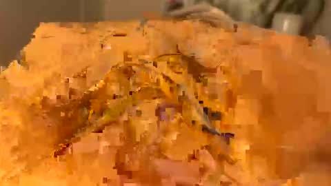 slipmytip online show from 12.05.25