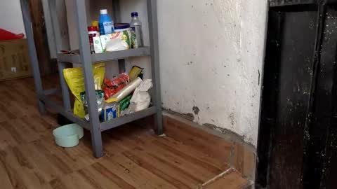 Skillibengisaadboy online show from 02.07.26