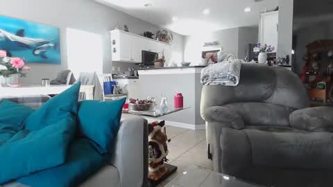 Daddy online show from 12.15.24