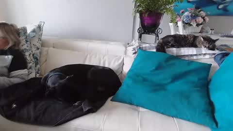 Daddy online show from 01.06.25