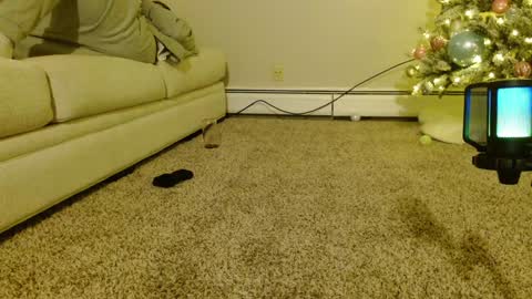 Snapshot of smexy_bun chatting on 12.09.24 Smexy online show from 12.09.24