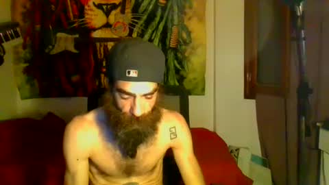 willy online show from 01.12.25