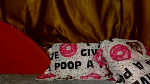 Noname online show from 03.02.26