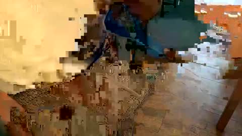 Peter Johnson online show from 12.24.24