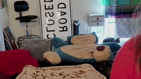 Big Dawg online show from 10.12.25