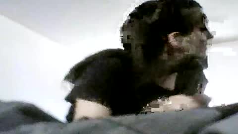 Snapshot of sn0wman071 chatting on 06.20.26 sn0wman071 online show from 06.20.26
