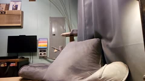 Snapshot of snackyyyy chatting on 02.06.26 Snackyyyy online show from 02.06.26