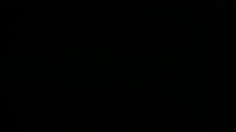 happy man online show from 12.14.24