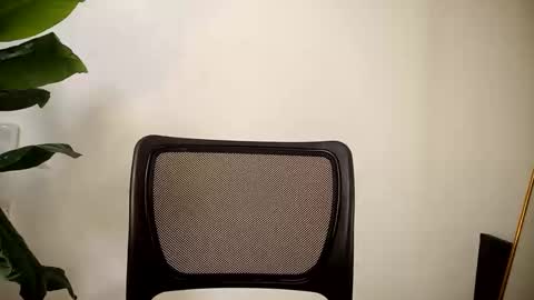 papi online show from 03.11.26