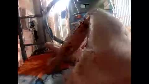 Snapshot of snqhephncxpu chatting on 02.17.26 snqhephncxpu online show from 02.17.26