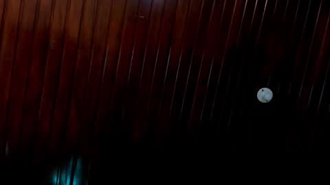 leidy online show from 12.24.24