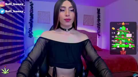 soffi_bunny_ online show from 12.22.24