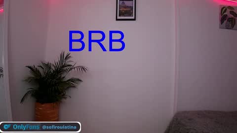 Snapshot of soffi_rousel_ chatting on 12.29.24 soffi_rousel_ online show from 12.29.24