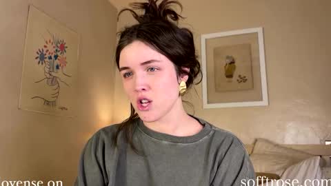 Snapshot of sofftrose chatting on 01.22.25 Julia online show from 01.22.25