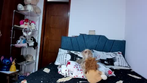 sofia86379 online show from 03.17.26