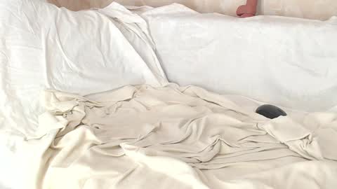 Snapshot of sofia_here chatting on 01.08.25 Sofia here online show from 01.08.25