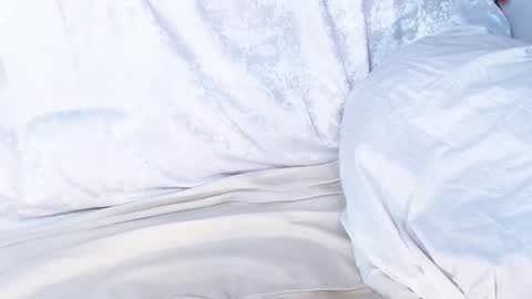 Snapshot of sofia_here chatting on 01.09.25 Sofia here online show from 01.09.25