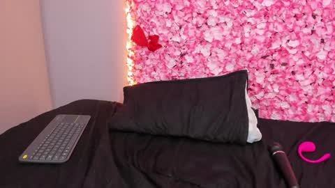 Snapshot of sofia_riveraa chatting on 01.22.25 SOFIA online show from 01.22.25