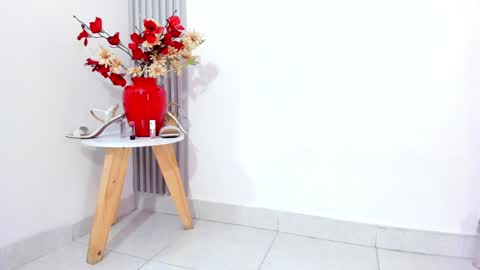 Snapshot of sofia_riveraa chatting on 02.04.25 SOFIA online show from 02.04.25