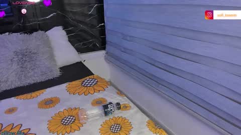 Sofia online show from 03.11.26