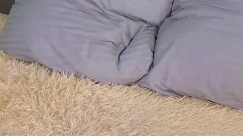 Milisa online show from 03.02.25