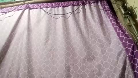 soft_bads online show from 09.11.25