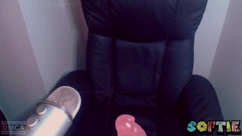 Snapshot of soft_serv chatting on 03.25.26 Softie 3 online show from 03.25.26