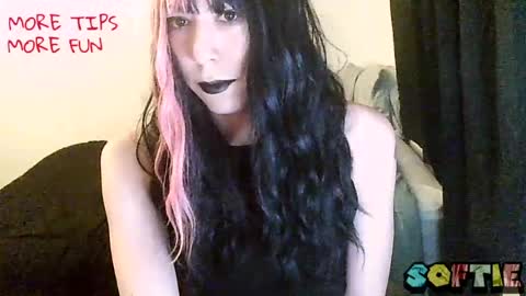 Snapshot of soft_serv chatting on 04.02.26 Softie 3 online show from 04.02.26