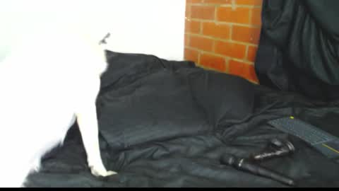  Sofy  online show from 02.21.26