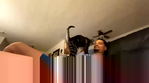 soharddr online show from 10.14.25