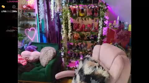 solesticia online show from 04.02.26