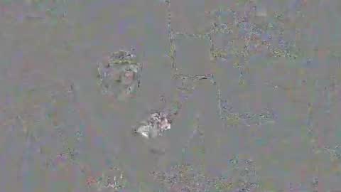 Snapshot of solilay chatting on 03.29.26 solilay online show from 03.29.26