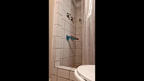 sologirl81 online show from 02.06.26