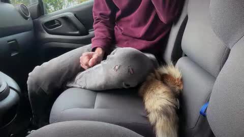 Snapshot of sondages chatting on 11.06.25 Sondages online show from 11.06.25