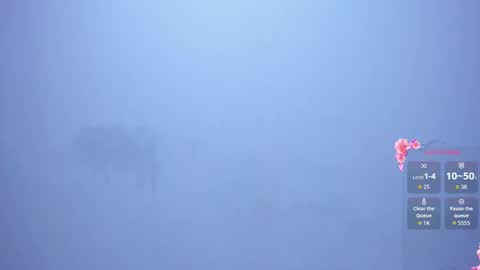 Sophi Thaylorr online show from 01.10.26