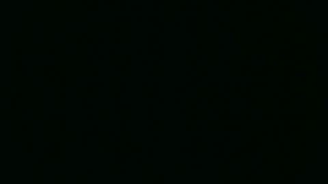 southdbd online show from 03.27.26