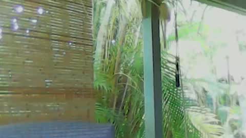 soveryhandsome online show from 01.04.25