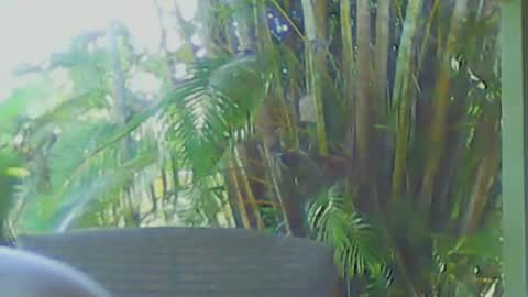 soveryhandsome online show from 04.12.26