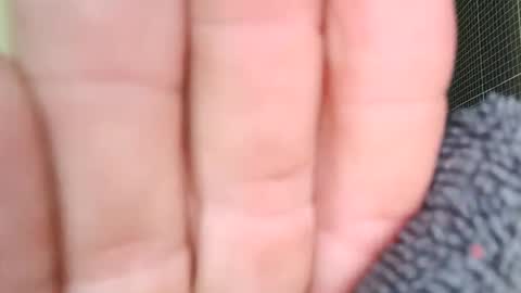 sowbilbao1 online show from 04.05.26