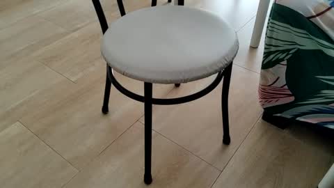 Leo online show from 03.02.26