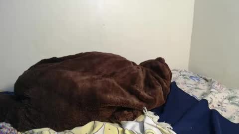 dela online show from 02.02.25