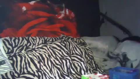 Daddy  His Splash Queen online show from 09.26.25