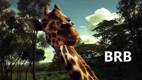 Karina online show from 01.18.25