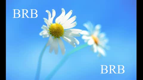 Karina online show from 02.28.25