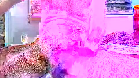 sprayx online show from 12.03.25