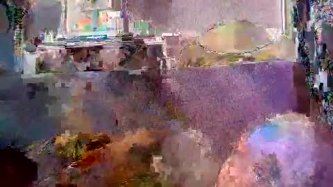 srekos38 online show from 04.20.26