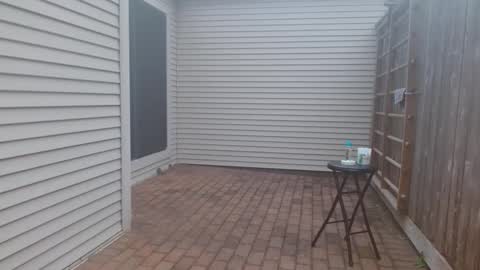 srtxshow online show from 03.03.25