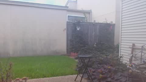 srtxshow online show from 09.23.25