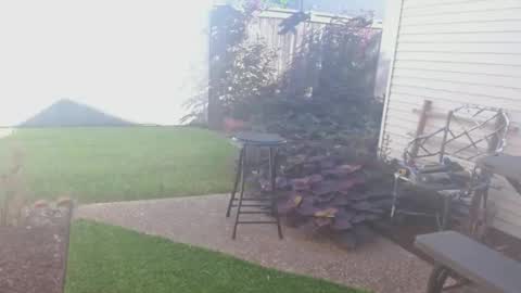 srtxshow online show from 09.26.25